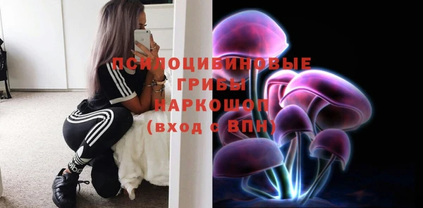 мдпв Арсеньев