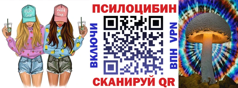 Галлюциногенные грибы Psilocybe дарнет шоп Усть-Джегута